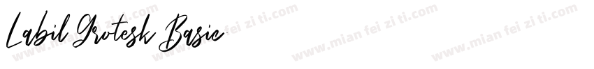 Labil Grotesk Basic字体转换